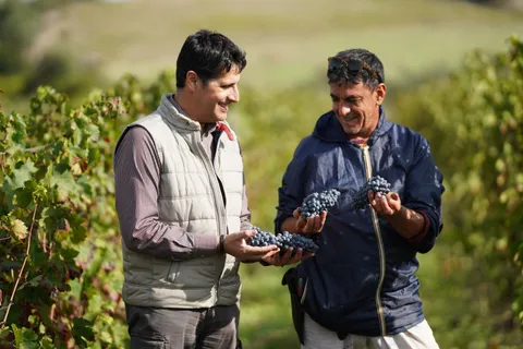 Sardegna Isola dei Vini